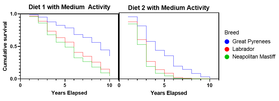 Dog Diets